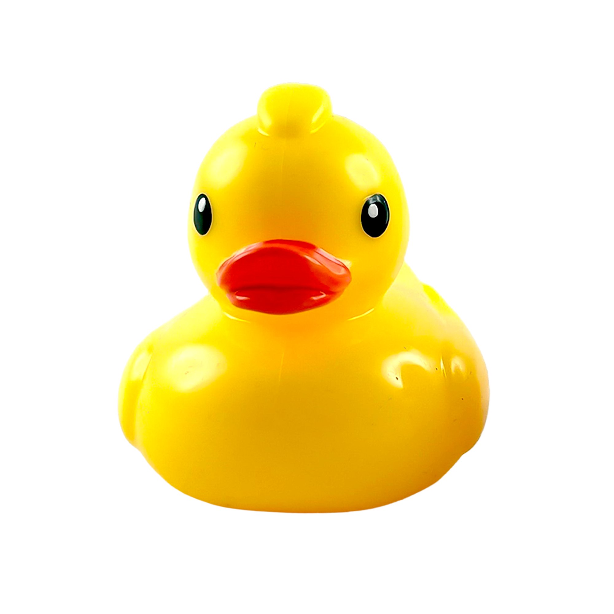 SQUISHI DUCK